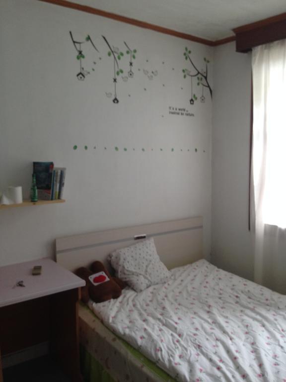 Shenzhen Pioneer Apartment Δωμάτιο φωτογραφία